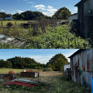 Photo de galerie - Débroussaillage 1800m2