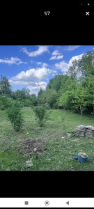 Photo de galerie - Tonte de pelouse - Débroussaillage
