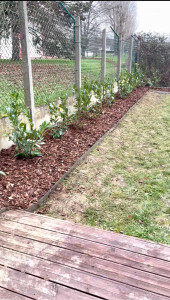 Photo de galerie - Plantation 