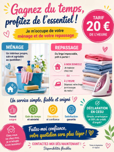 Photo de galerie - Ménage ou repassage 