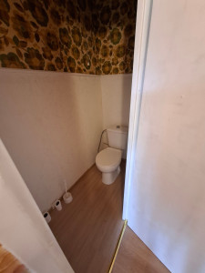 Photo de galerie - Pose papier peint et parquet toilette