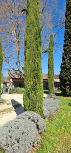 Photo de galerie - Taille