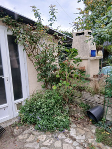 Photo de galerie - Désherbe