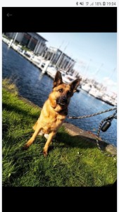 Photo de galerie - Kala notre habitué toujours aussi contente de nous revoir