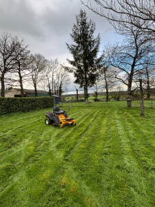 Photo de galerie - Tonte de pelouse 