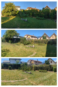 Photo de galerie - Taille de haies et d'arbustes