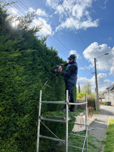 Photo de galerie - Taille 