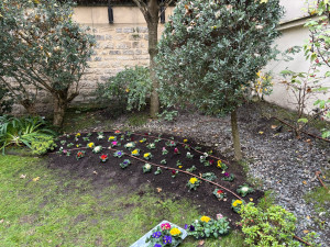 Photo de galerie - Plantation et aménagement jardin 