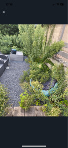 Photo de galerie - Paysagiste - Aménagement du jardin