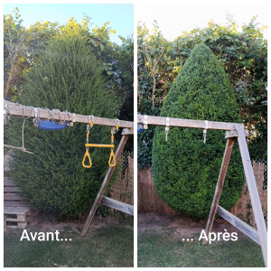 Photo de galerie - Taille de haies et d'arbustes