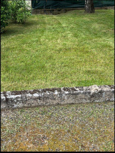 Photo de galerie - Tondre 