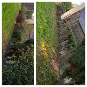 Photo de galerie - Taille de haies et d'arbustes