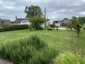 Photo de galerie - Tonte de pelouse - Débroussaillage