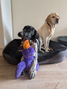 Photo de galerie - Avec le copain