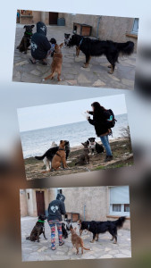 Photo de galerie - Une deuxième famille pour eux 