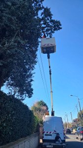 Photo de galerie - Dégagement des cable 