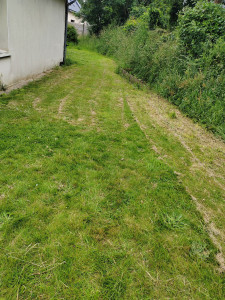 Photo de galerie - Entretien tonte de la pelouse 