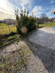 Photo de galerie - Jardinier