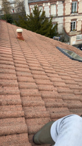 Photo de galerie - Traitement toiture algifuge 