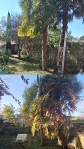 Photo de galerie - Paysagiste - Aménagement du jardin