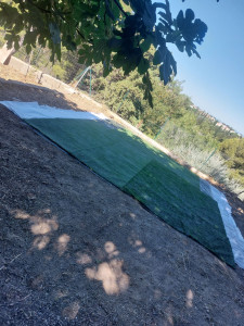 Photo de galerie - .