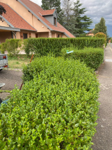 Photo de galerie - Avant intervention 