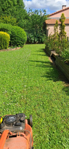 Photo de galerie - Tonte pelouse 