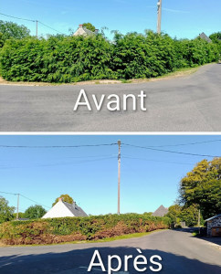 Photo de galerie - Taille de haie d'une longue de 100ml