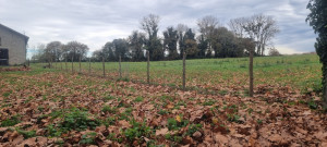 Photo de galerie - Pose de piquet d'acacia 