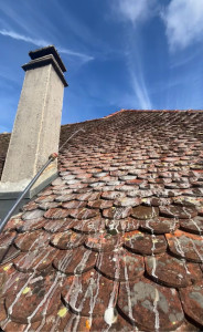 Photo de galerie - Application d’un traitement anti-mousse 