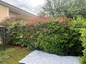 Photo de galerie - Jardinier