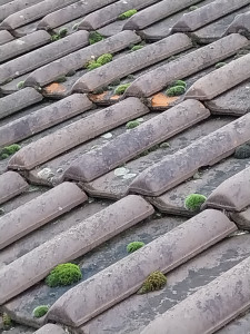 Photo de galerie - Nettoyage et traitement de couverture 