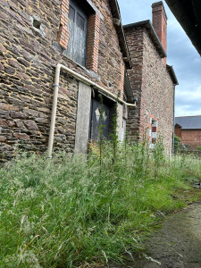 Photo de galerie - Avant / Débrousaillage d’une cour extérieure