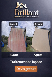 Photo de galerie - Nettoyage pignon et façade 