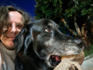 Photo de galerie - Feeling canin