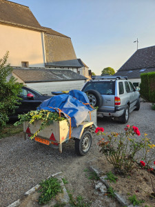 Photo de galerie - Évacuation de haie divers espèces.