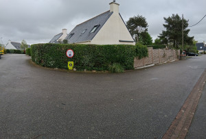 Photo de galerie - Taille de haies