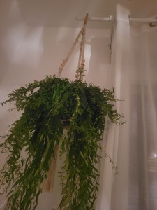 Photo de galerie - Artisan d'art