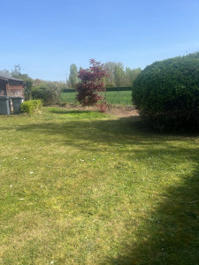 Photo de galerie - Mise au propre du jardin