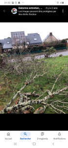 Photo de galerie - 
abattage