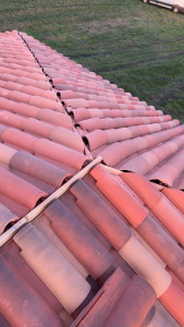 Photo de galerie - Tuile