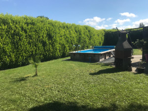 Photo de galerie - Haie à tailler 