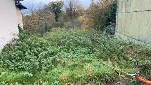 Photo de galerie - Tonte de pelouse - Débroussaillage