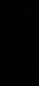 Photo de galerie - .