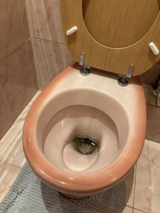 Photo de galerie - Afther tha