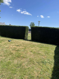 Photo de galerie - Taille de haie 