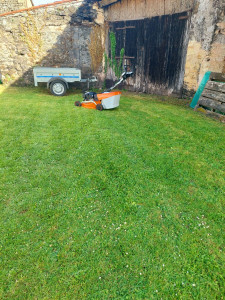 Photo de galerie - Jardin tout juste tondu