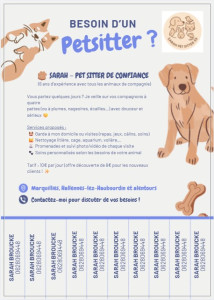 Photo de galerie - Cette photo représente mon flyer 2025-2026 !