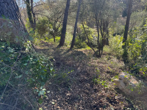 Photo de galerie - Jardinier