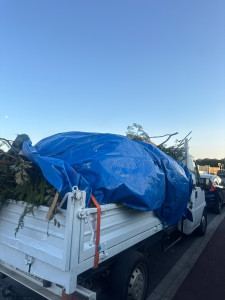 Photo de galerie -     Évacuation de déchets verts (la plus courante) * Enlèvement de déchets verts * Collecte de déchets verts * Transport de déchets verts vers la déchetterie * Débarras de déchets verts